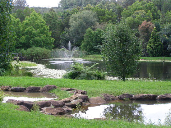 Lamington National Park